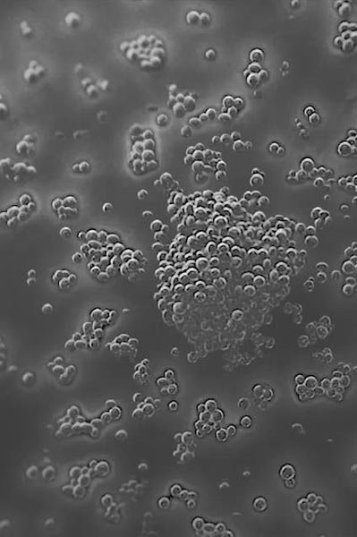 laroche posay landningssida mikrobiom vetenskap bacterias1