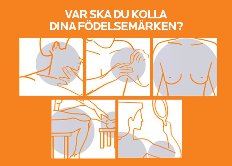 LRP_SE_SAVE_CHECK_YOUR_MOLES_BANNER_780x560px